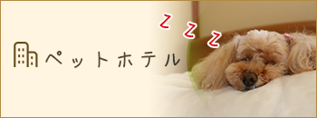 ホテル
