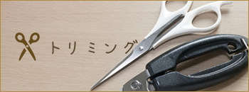 トリミング